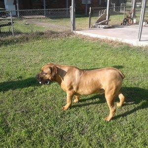 Meet your Posher, William